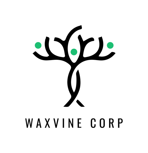 Waxvine Corp